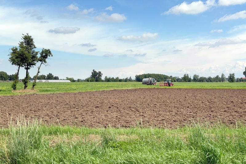 terreno agricolo